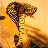 jouet charmeur serpent moderne populaire inde