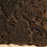 Vers les tampons pour l’impression des tissus en Inde: C'est une belle série en bon état. Les motifs sont sculptés dans la masse du bois. Cette technique millénaire est de nos jours toujours très répandue et populaire en Inde.